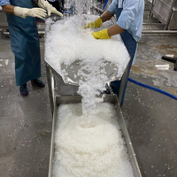 Mekong Rivier Zachte Tropische Kokosgelei Kristallen Blokjes Premium Pure Nata De Coco Aanpasbaar