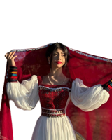 Robe longue Anarkali bohème vintage ethnique pour femmes afghanes en mousseline de soie, éco-responsable, taille naturelle, manches longues, détails boutonnés