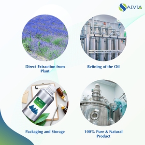 100% aceite esencial de ciprés azul puro y natural a granel embalaje personalizado al por mayor precio bajo - Product Image 4