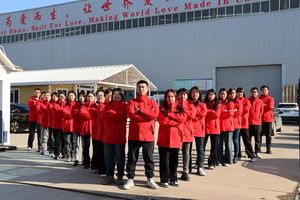 40 Ft 20Ftポータブル拡张可能なコンテナハウス2ベッドルーム高级折りたたみプレハブヴィラおばあちゃんフラット30Ftプレハブモバイルホーム - Product Image 6