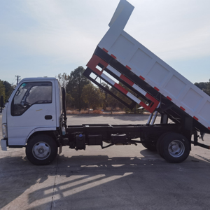 Camion benne léger d'occasion 100ch 120ch 4x2 4x4 6 tonnes, camions bennes légers Isuzu - Product Image 5