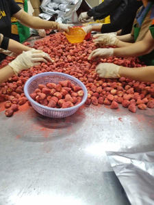 Fresas secas seleccionadas para una calidad consistente, aptas para exportación al por mayor a empresas de compras y comercio global. - Product Image 4