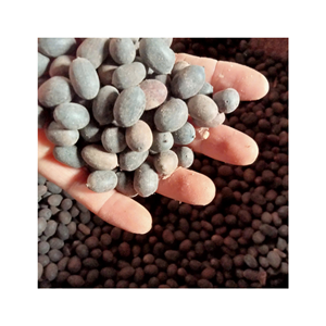 Semillas de loto de alta calidad, semillas de loto blancas y negras, semillas de loto secas exportadas desde Vietnam en una gran oferta para usted - Product Image 4