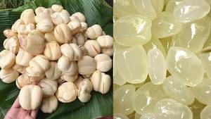 Nhà Máy Bán Hàng Đường Cọ-Jaggery Từ Việt Nam Với Tự Nhiên Ngọt Ngào Và Giá Thấp Nhất-Bella - Product Image 6