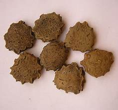 GRAINES DE GAC BIO DE PREMIUM POUR UNE FORCE IMMUNITAIRE QUOTIDIENNE SANTÉ DU FOIE ET UN SOUTIEN HOLISTIQUE PROPRE - Product Image 3