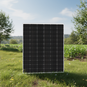 Panel Solar Bifacial Monocristalino Tipo N de 605W del Grupo Shuangliang - Product Image 3