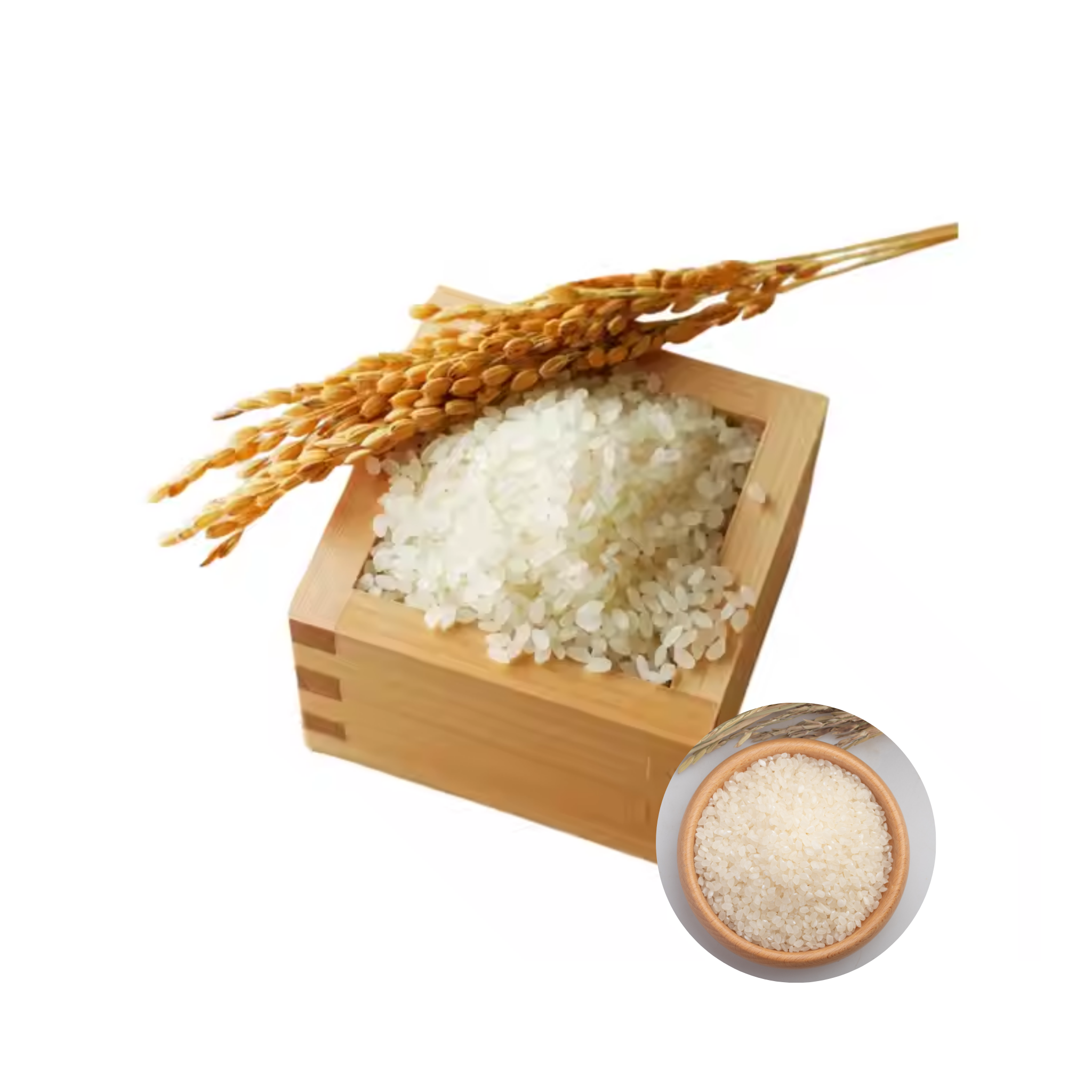 Tasty Top Notch Quality Best Rate Hot Sale Round Grain JAPONICA RICE 20kg