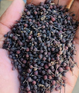 Pimienta Negra Cruda Seca Natural de Madagascar, Grado Premium, a Granel, VANILLE HARVEST 24, Especias y Hierbas Individuales - Product Image 2