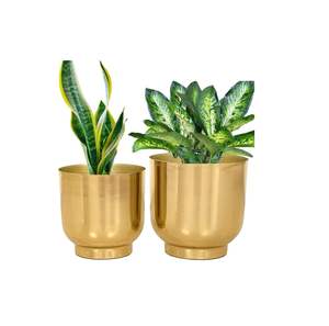 Eva Metal Plant Pots Carved Iron Indoor Planter Flower Pots with Drainage Hole Export Selling - Product Image 1