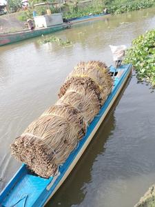 Vente en gros au Vietnam de jacinthe d'eau séchée de haute qualité/Exportation de grandes quantités de jacinthe d'eau séchée traditionnelle à bon prix - Product Image 2