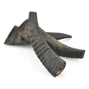 Cuerno de Shofar de cabra oveja superventas, cuernos de cabra reales decorativos de alta calidad, precio al por mayor - Product Image 5