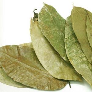 El precio más barato, hojas secas de Graviola con hoja de Guanábana seca de excelente calidad de Vietnam para exportación - Product Image 6