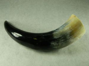 Best Quality Viking Drinking Horn at Low Price for Medieval with Multiple Functions Horn bar Hotel for Christmas Occasion - Product Image 2