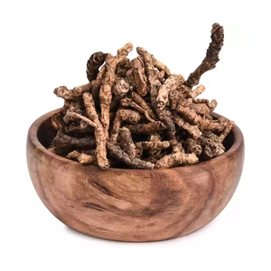 Fournisseur Direct d'Usine - Poudre de Picrorhiza Kurrooa (Kutaki) Naturelle Neuve 5kg - Qualité Supérieure Herbojit International - 18 Mois - Product Image 4