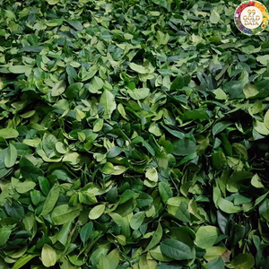 Ingrediente Natural para Cocinar, Hoja de Limón Seca de Vietnam para Sazonar Alimentos y Mejorar el Aroma - Product Image 2