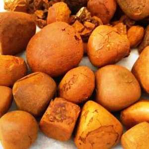 Cálculos Biliares Bovinos Naturales de Alta Pureza, Grado Premium de Exportación, No Solubles en Agua, Alimento Saludable, 1 Año de Vida Útil, Envasado al Vacío - Product Image 4