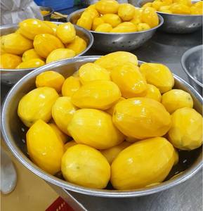 มะม่วงเกียงแช่แข็งธรรมชาติมะม่วงเขตร้อน iqf ที่มีรูปร่างกำหนดเองขายดีที่สุดที่มาจากมะม่วงแช่แข็งในเวียดนาม - Product Image 4