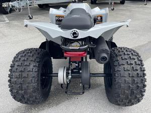 Vente rapide Renegade 110 EFI 2024 - Product Image 3