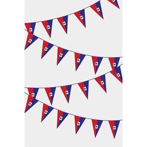 Haiti Triangular Flag Bunting Father's Day Back School Graduation Diwali Christmas Halloween New Year <b>Easter</b> Chinese New Year - Product Image 1