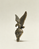 Insignia de Paracaidista de Bronce Vintage con Diseño de Águila |   Insignia Táctica Personalizada de Aleación de Zinc 3D con Esmalte Suave y Acabado Arenado para Coleccionistas y Uniformes |