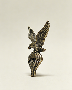 Insignia de Paracaidista de Bronce Vintage con Diseño de Águila |   Pin de Solapa Táctico de Metal Personalizado para Coleccionistas y Uniformes |   Broche de recuerdo de alto detalle - Product Image 2