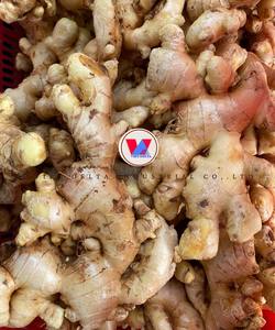 Rodajas de Jengibre Seco de Alto Aroma |   Puro y Limpio |   Calidad de Exportación Vietnam - Product Image 2