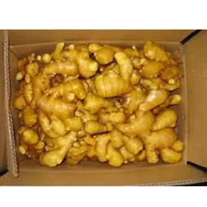Raw Fresh Ginger - Many Different Size ( 50, 60, 80, 100, 120 gram up) In packing Bulk and Mesh Bag