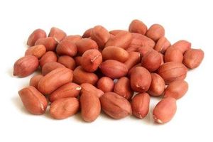 Top Grade Blanched <strong>Peanuts</strong> in Bulk Natural Organic Raw <strong>Peanut</strong> <strong>Kernels</strong> for Snacks Dried Style-Wholesale <strong>Java</strong> <strong>50</strong>/<strong>60</strong> <strong>Peanut</strong> <strong>Kernels</strong> - Product Image 4