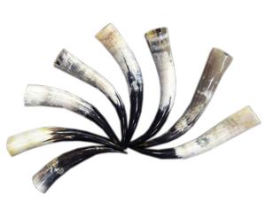 Tasse à corne à boire Viking authentique Divit | Chope à corne de bière médiévale authentique | Tasse à corne/Stein d'une capacité de 24oz. (Jarl, Poli) - Product Image 6