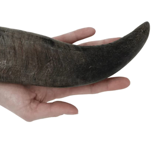 Vente chaude noir corne de buffle naturel long voyage pour chien mâcher bio boeuf goût protéine Nutrition viande sûr couteau poignée - Product Image 1