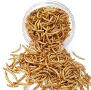 Comida para peces Comida natural para animales Gusanos de harina secos de alta proteína - Product Image 4