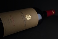 Vin rouge italien rouge toscan IGT GORGOLI Bouteilles de 0.750 litres boisson alcoolisée GVERDI Selection Made Italy Red Wine
