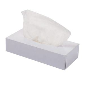 Pañuelos Faciales Suaves de 2 Capas de Alta Calidad Personalizados, Ecológicos, en Caja Rectangular - Product Image 1