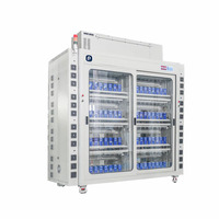 Machine de classement des cellules lithium-ion à haute précision personnalisée, 512 canaux, 5V 6A, 18650 33140, équipement de test de charge et de décharge de batterie
