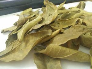 Feuilles de myrte de citron séchées écrasées, café frais, feuilles de citron vert, ANGLE - Product Image 3
