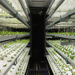 Système de culture hydroponique en conteneurs pour légumes à feuilles vertes - Agriculture verticale pour la laitue, les épinards, le chou frisé et plus encore - Product Image 6