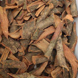 Prunus africana - Product Image 2