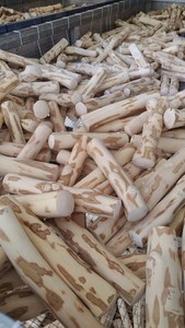 ของเล่นไม้ไผ่ธรรมชาติรักษ์โลกสำหรับสัตว์เลี้ยงขนาดเล็ก - ของเล่นกัดแทะสำหรับกระต่าย หนูแกสบี้ และสัตว์อื่นๆ - Product Image 2