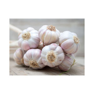 Ajo fresco a precio económico, listo para exportar, con entrega rápida y aroma intenso - Product Image 6