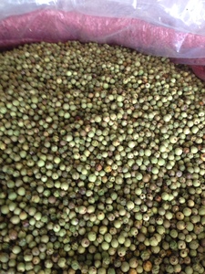 FD GREEN PEPPER corn pour épices et assaisonnements provenant de l'usine du VIETNAM, meilleur prix 2023/FD GREEN PEPPER ingrédients alimentaires - Product Image 5