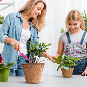 Mini jardinière pépinière pots de noix de coco serre hydroponique démarreur de semis pot en fibre de coco biodégradable - Product Image 6