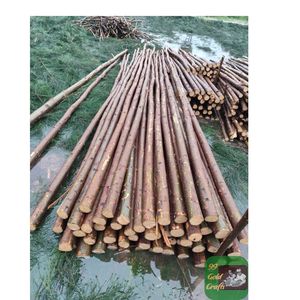 เสาไม้ยูคาลิปตัสสำหรับงานหนัก เหมาะสำหรับสวนและฟาร์ม เสาไม้กลมอายุการใช้งานยาวนาน เหมาะสำหรับงานก่อสร้างหลากหลายประเภท - Product Image 5