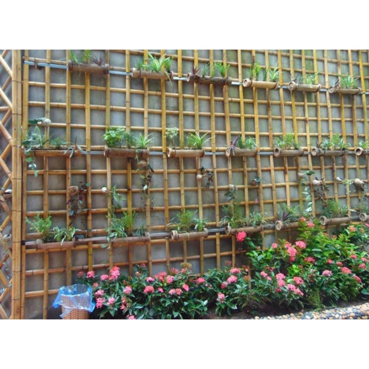 Grohandel Vietnam Bambus Stick Pfahl-100% natrlicher Bambus fr die  Untersttzung von Blumen grtnerei pflanzen| Alibaba.com