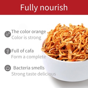 <span class=keywords><strong>Cordyceps</strong></span> Militaris Essiccato Sfuso di Alta Qualità Grado 3A Essiccato Naturalmente all'Aria 7-11cm 10kg/Scatola Energizzante Ingrosso - Product Image 4