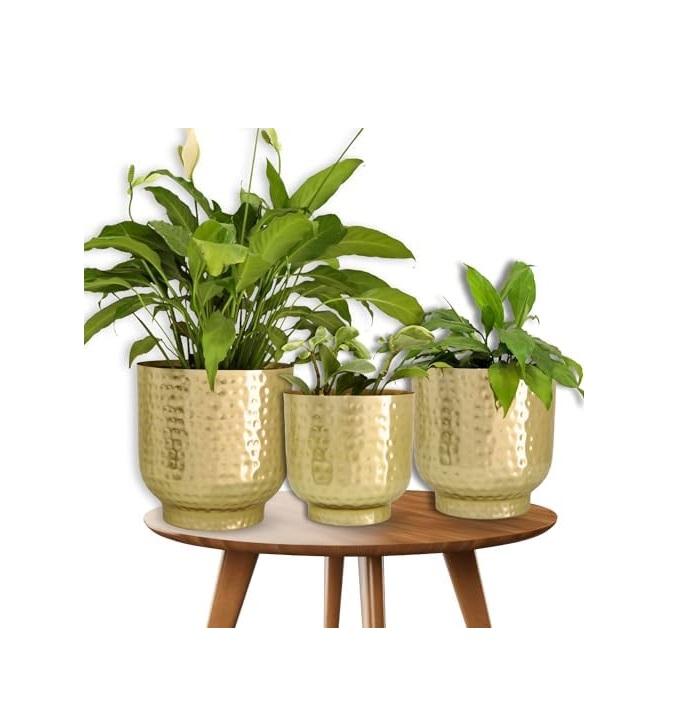 สีธรรมชาติ