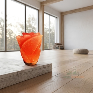 Lampe de nuit en sel rose de l'Himalaya naturel sculptée à la main, avec base en bois et variateur d'intensité, pour chambre, spa, bien-être et décoration - Product Image 3