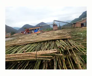 Bamboo pole with different color green black bamboo pole nature bamboo pole stakes