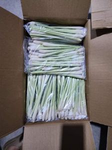 Lemongrass congelado en Vietnam paquete a granel de buen aroma de alta calidad - Product Image 3