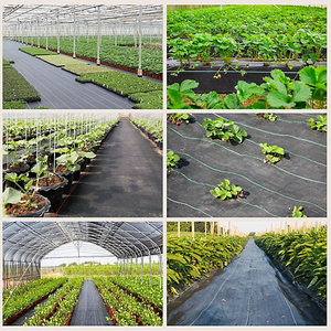 Agriculture Weed Control Fabric Landscape <b>Ground</b> Cover Weed Control <b>Mat</b> - Product Image 2
