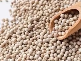 Semillas de pimienta blanca de alta calidad, variedad de exportación cruda, excelentes especias secas y hierbas, producto a buen precio, semillas de pimienta blanca - Product Image 2